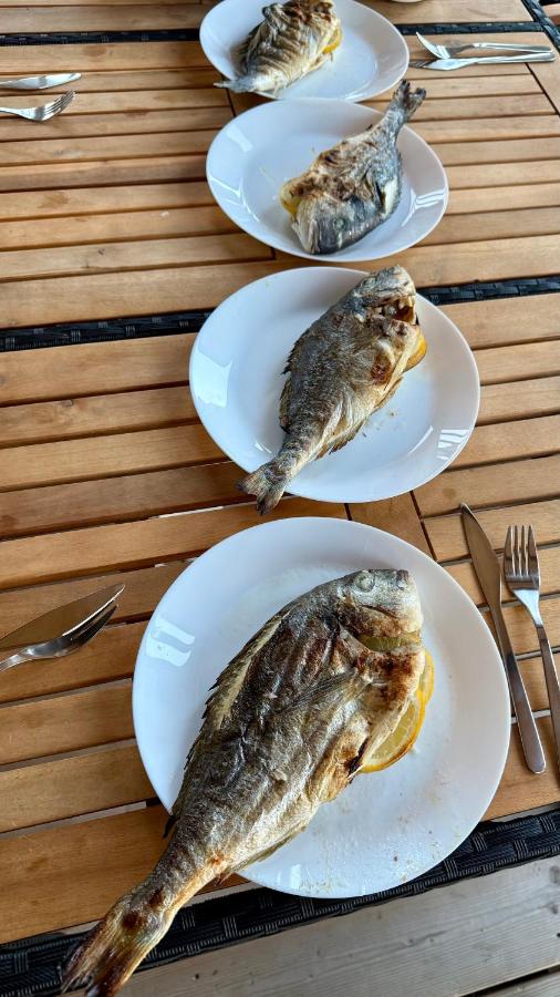 Rina Mobile House - B&B Sveti Petar