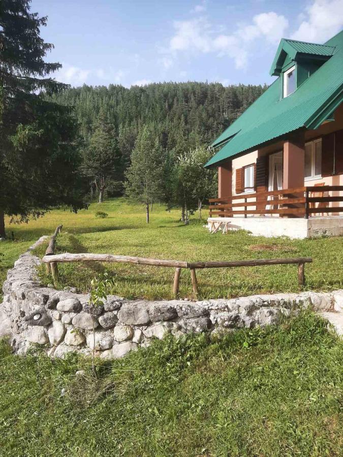 Wild Peace - B&B