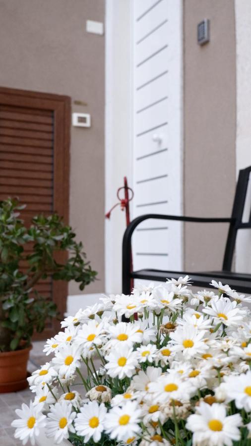 Agada Suite - B&B