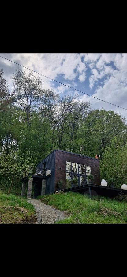 Forest Studio Corunca - B&B