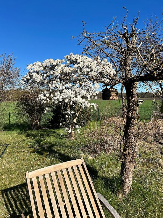 Bude in Burgwedel - frisch saniert in 2025 NEW NEW - B&B
