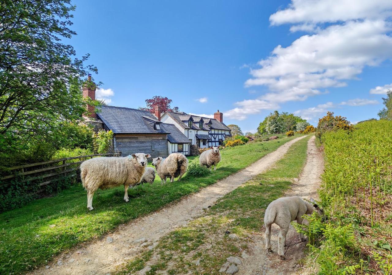 Ramblers Rest - Ferienwohnung Yarpole