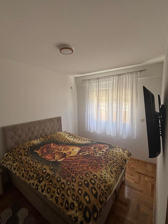 Apartment mit 1 Schlafzimmer