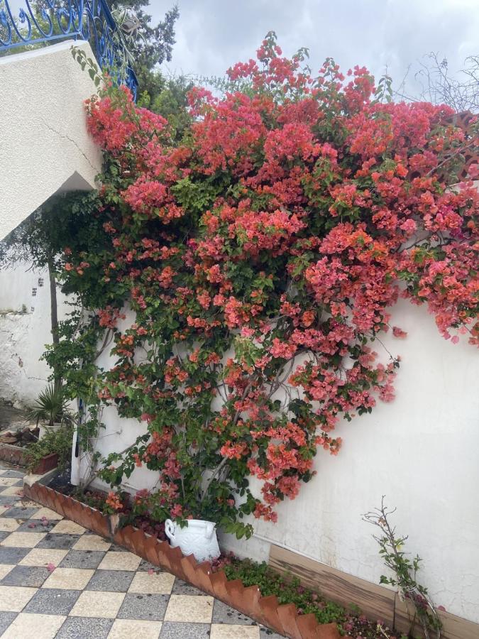 Maison à El Omrane . - Chambres d’hôtes Tunis