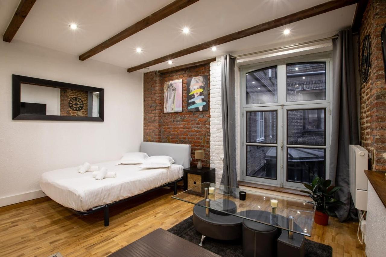 Modern and functional Studio in Lille old town - B&B Lilla