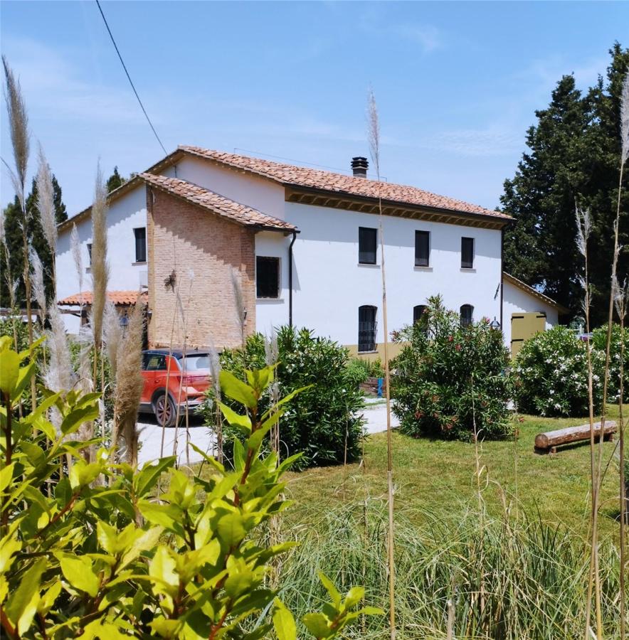 Villa Maiano Fauglia - B&B
