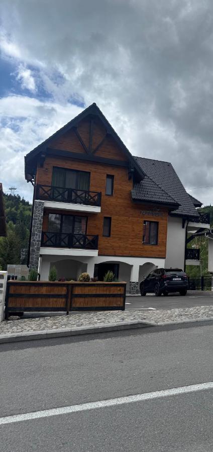 Zen Retreat Apartment - Ferienwohnung Sinaia