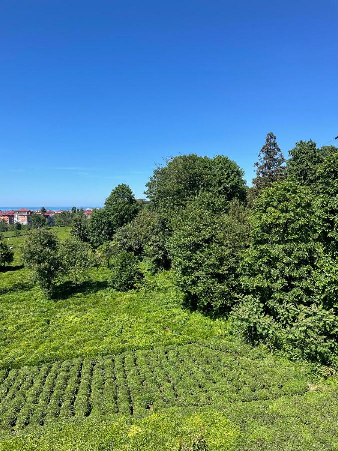 SofuOğlu Konaklama - B&B