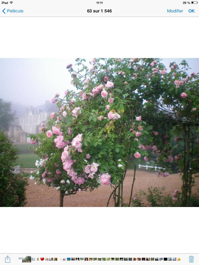 La Maison d'Ambre - Chambres d’hôtes