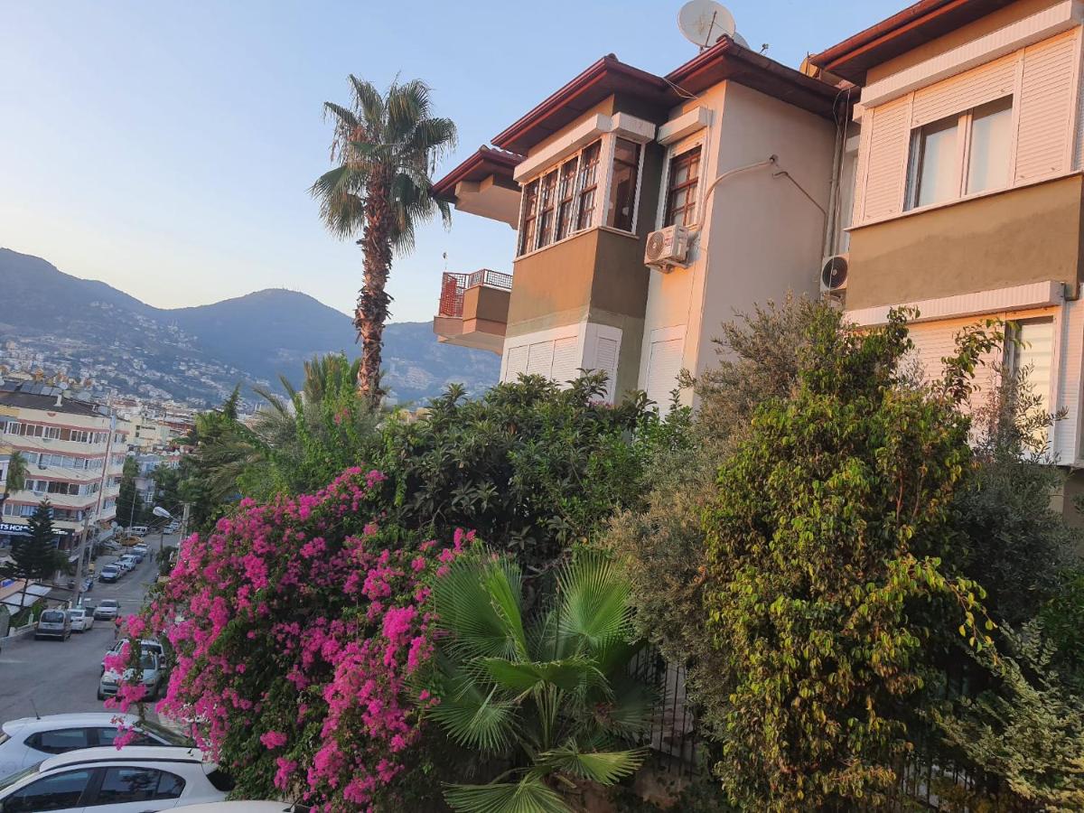 SunStar Kleopatra beach - B&B