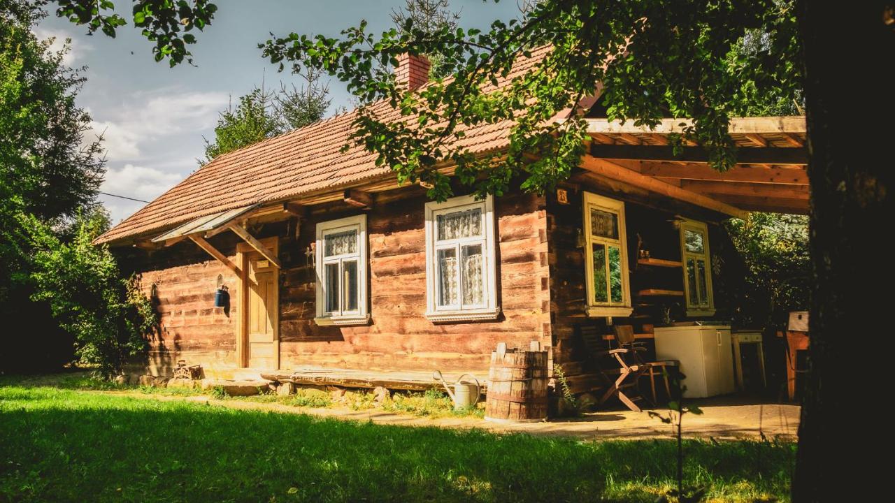 Domek Gajowy-6 - B&B