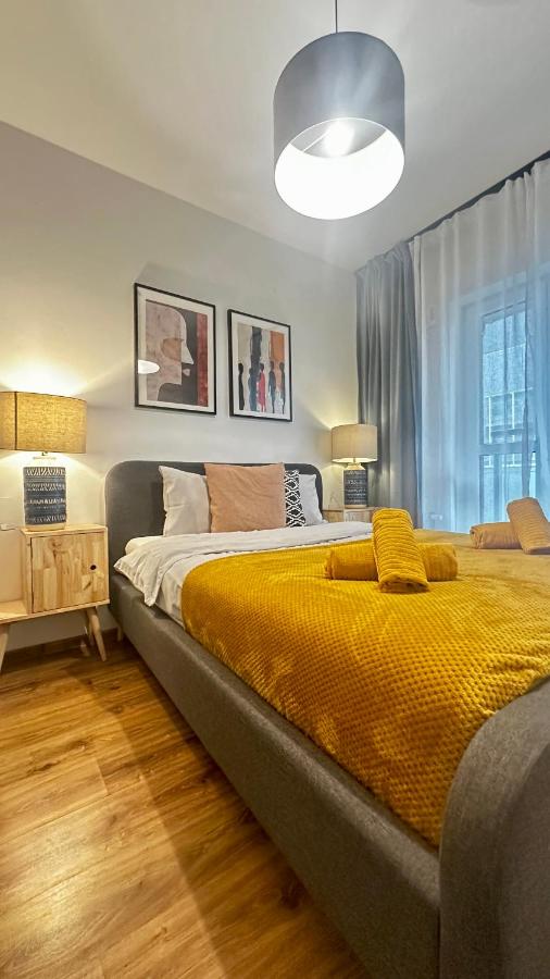 Appartement 1 Chambre