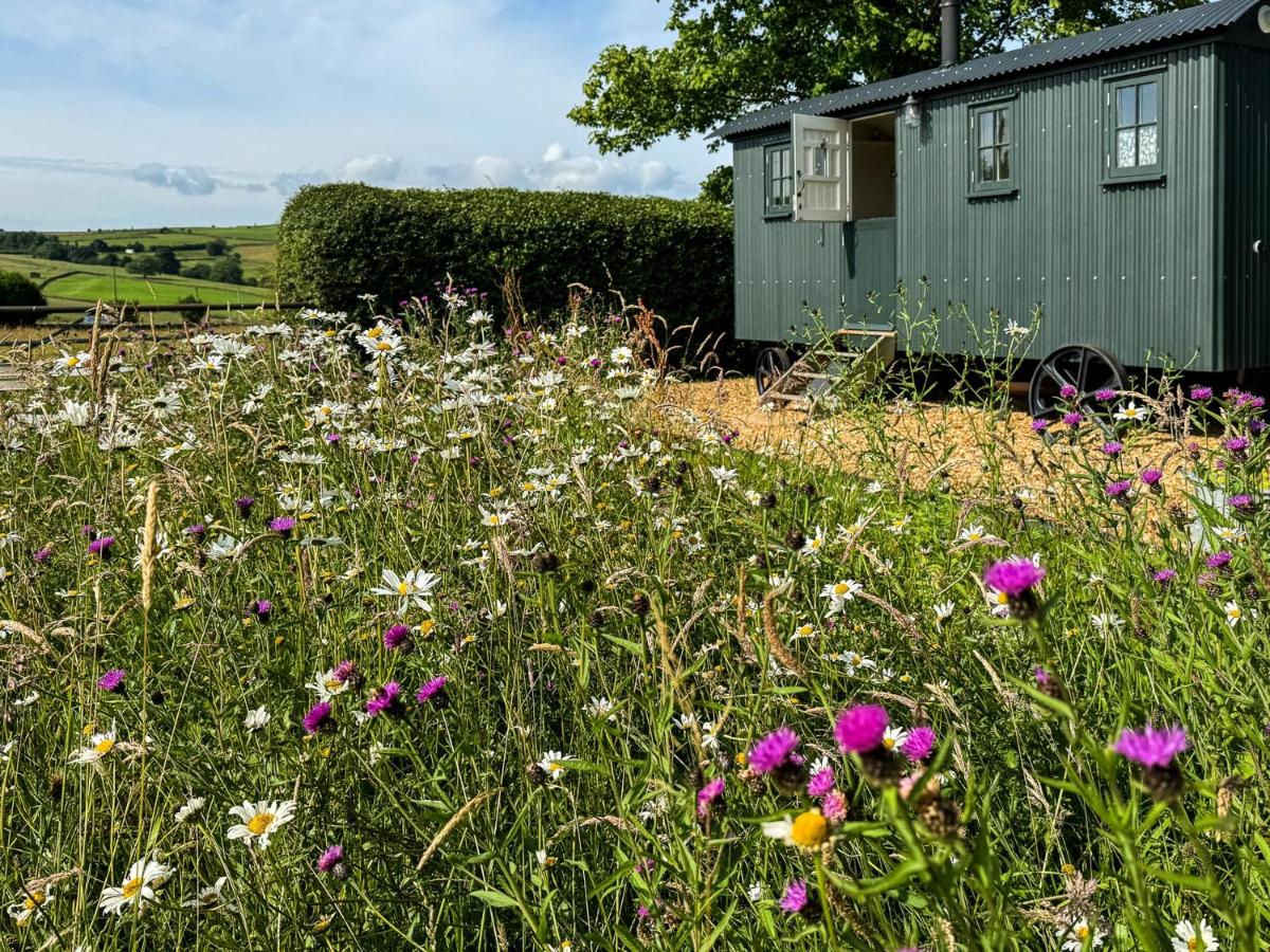 1 Bed in Hayfield 87592 - Chambres d’hôtes Mellor