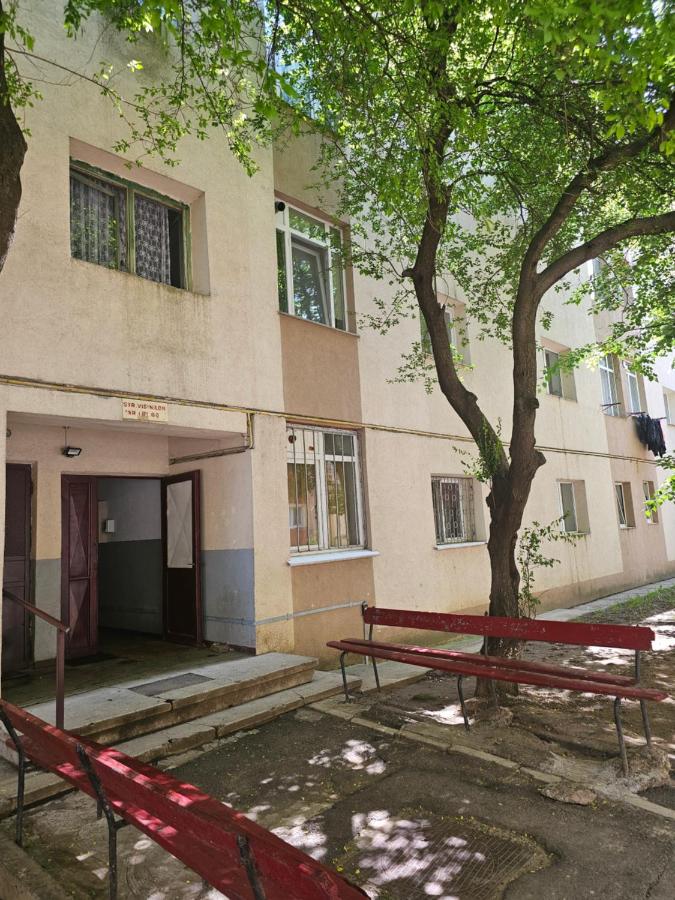 Mire Studio 2 - Bed and Breakfast Suceava