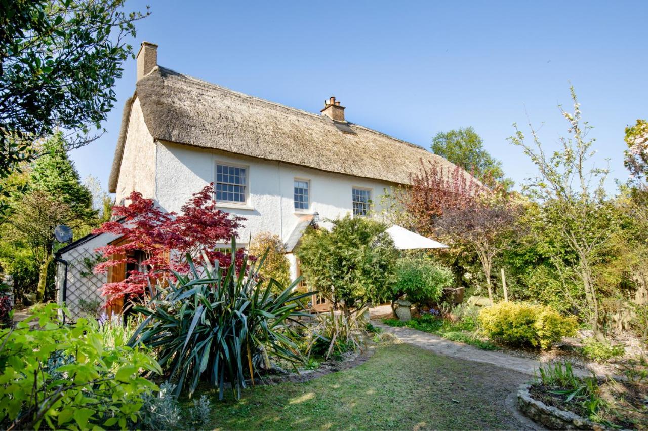 Jasmine Cottage - Ferienwohnung Seaton