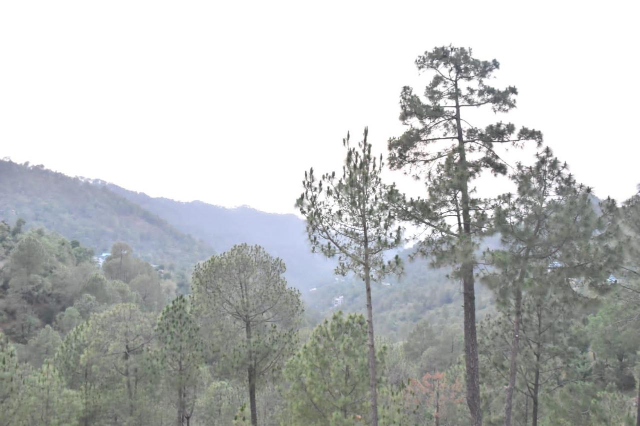 Inder Stay !! Balcony Rooms !! Parking !! - Bed and Breakfast Dharmpur