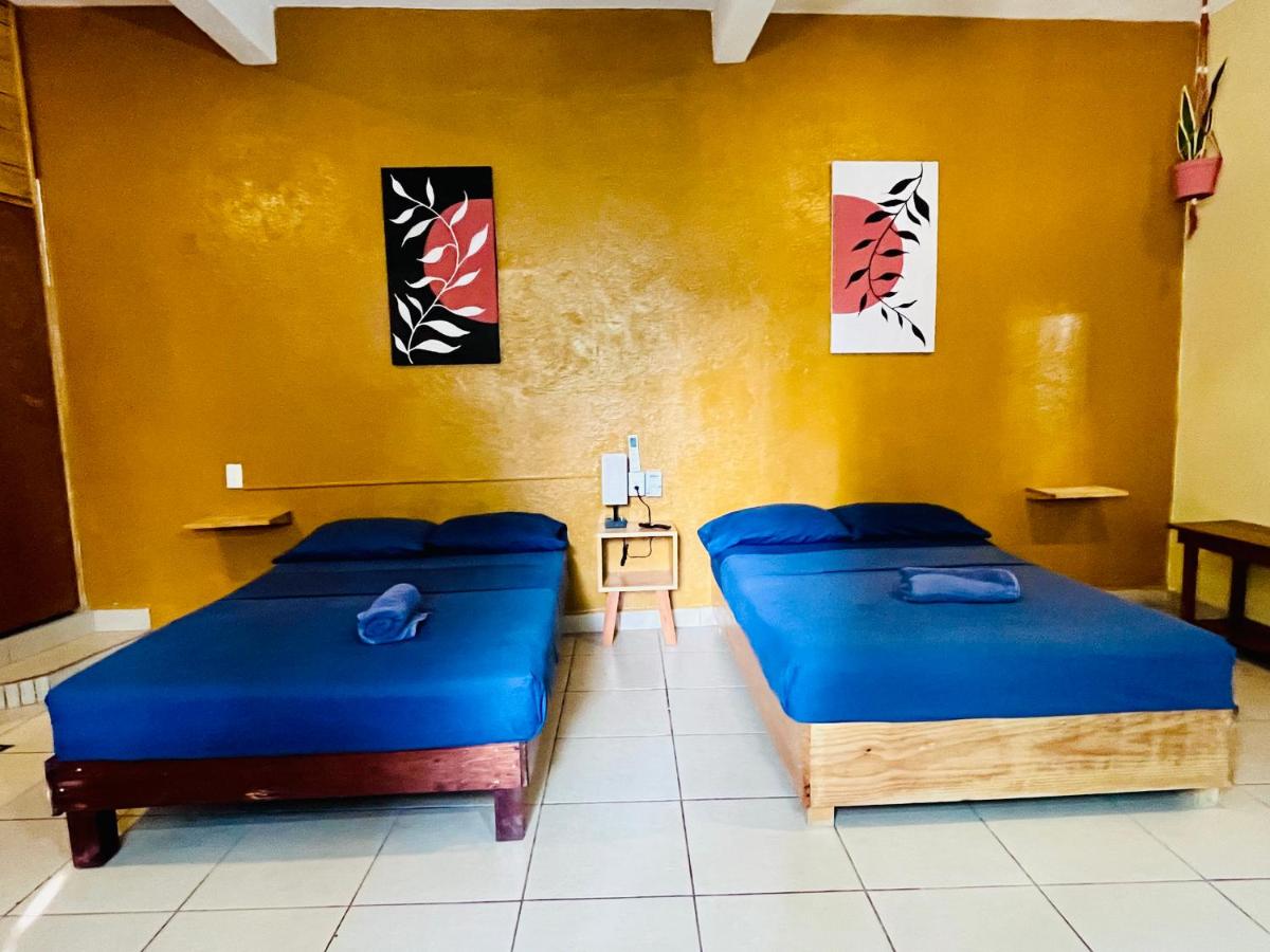 Palmar la Punta 11 AC Starlink 2min walk to beach - B&B Brisas de Zicatela