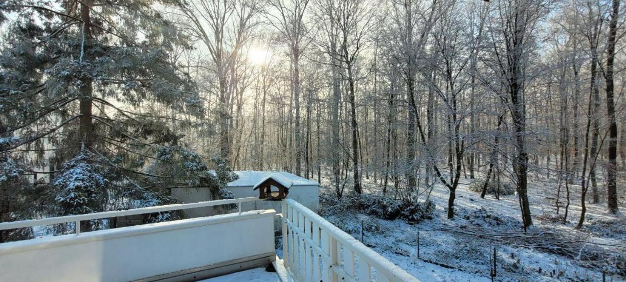 Forest Inn, retreat in nature - B&B