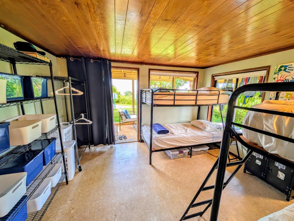 Bed in 4-Bed Mixed Dormitory Room