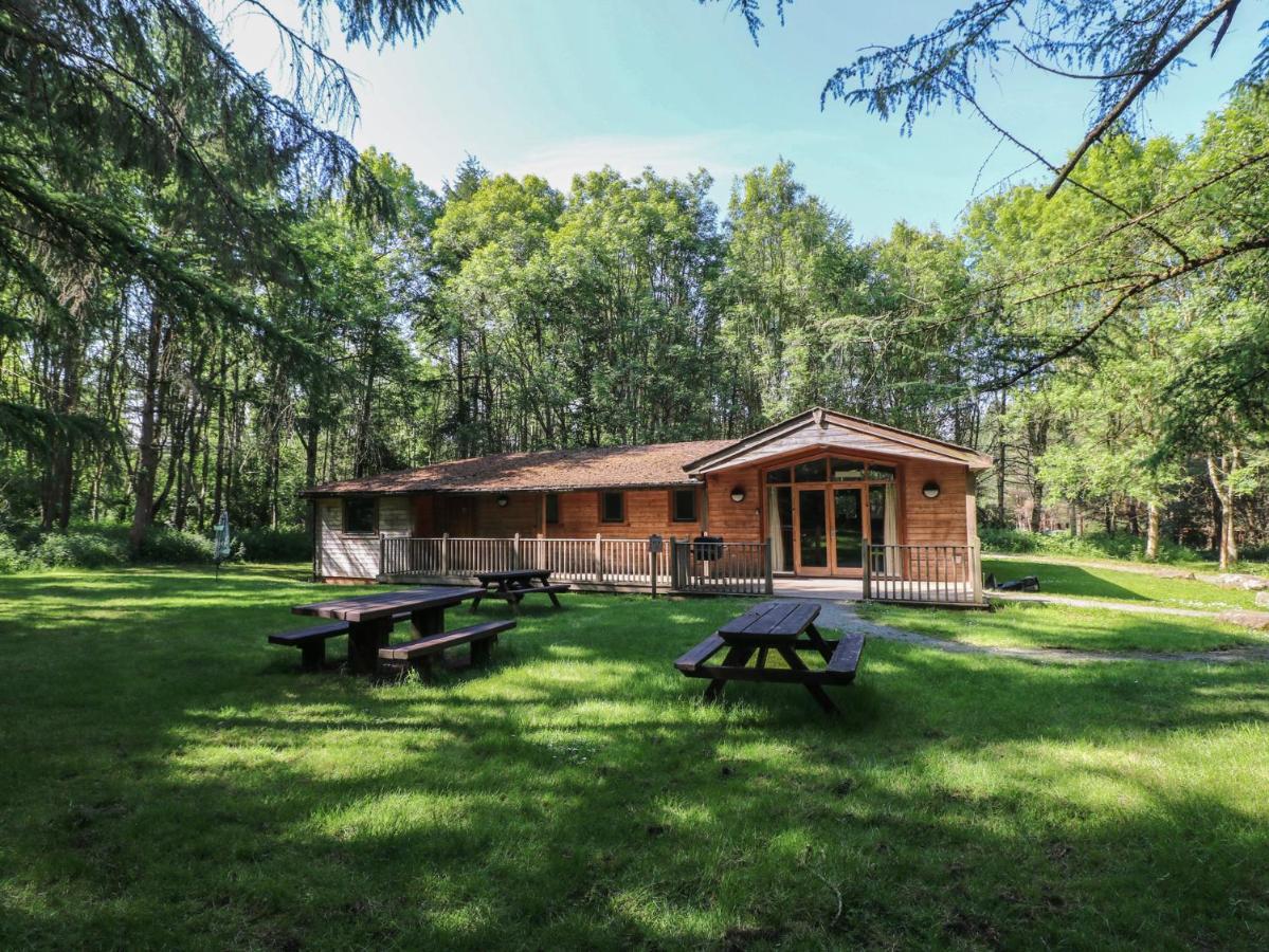 Chestnut Lodge - B&B