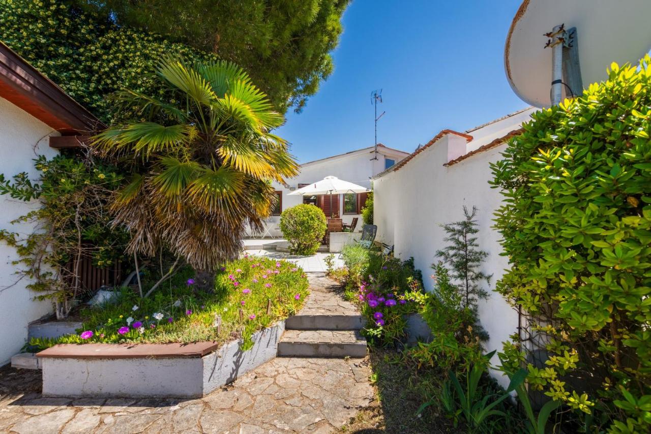 Apartment Husnjak - Ferienwohnung Privlaka