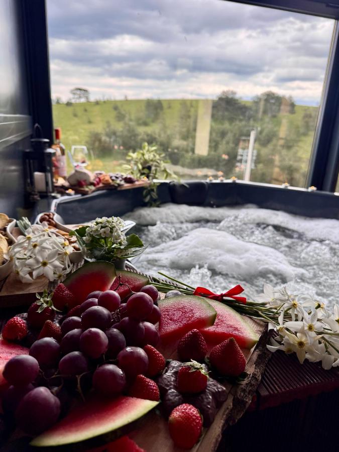 Wild nest Wolf Lux - B&B
