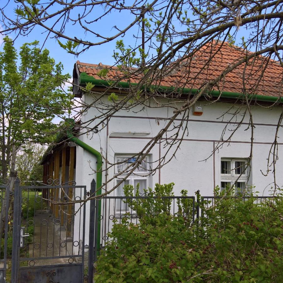 Anna Falusi Vendégház Sarud - Chambres d’hôtes Sarud