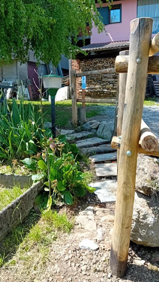 affittacamere La Betulla - B&B Pettinengo