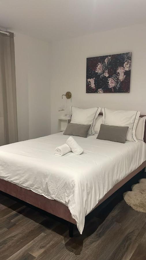 Appartement 1 Chambre