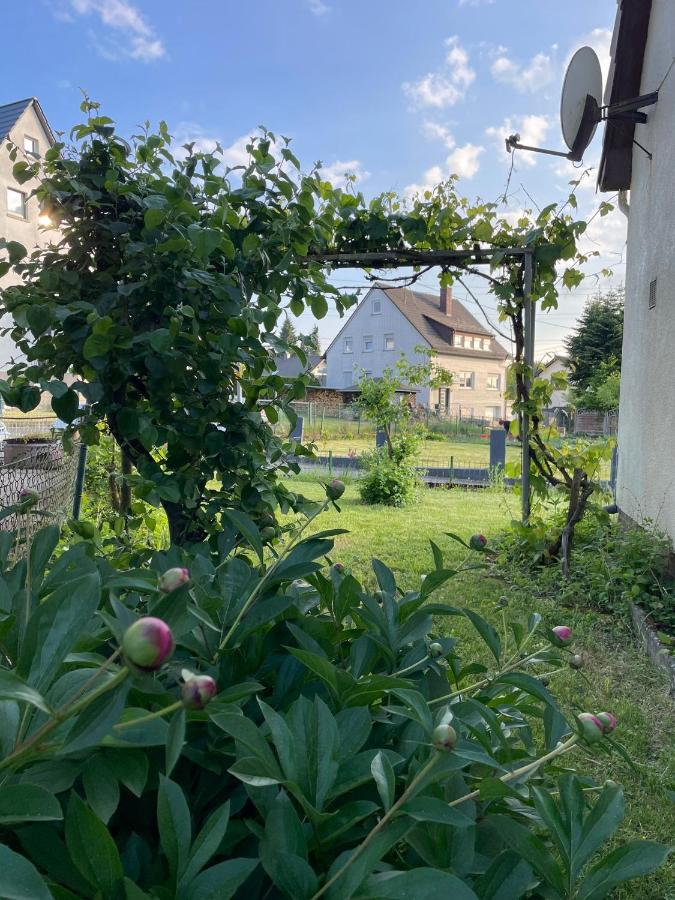 Der'is Wohlfühlhaus - B&B Hamm (Sieg)
