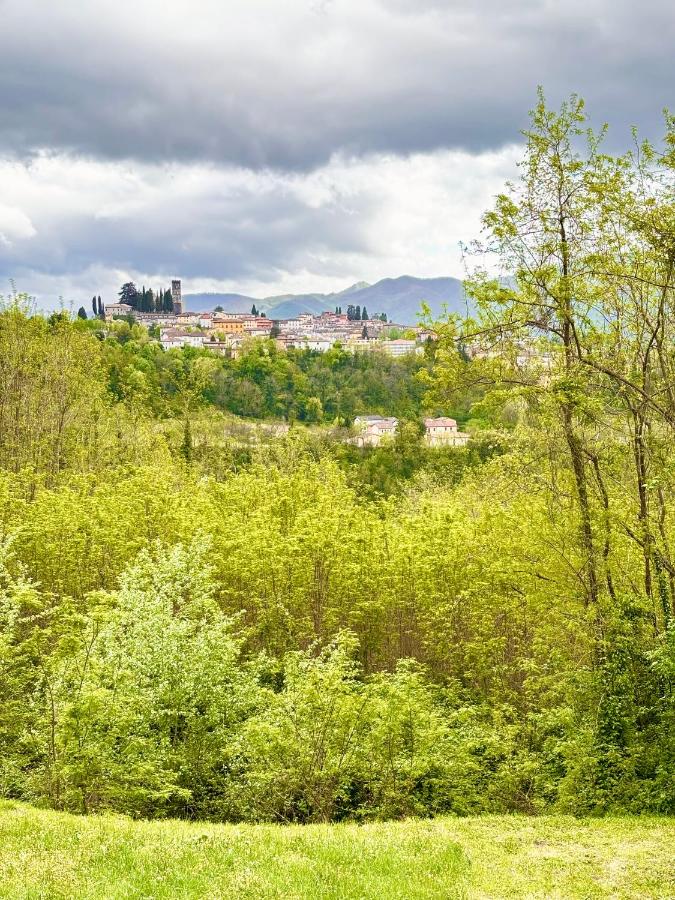 Stunning 4 bedroom villa near Barga - B&B Castelvecchio Pascoli