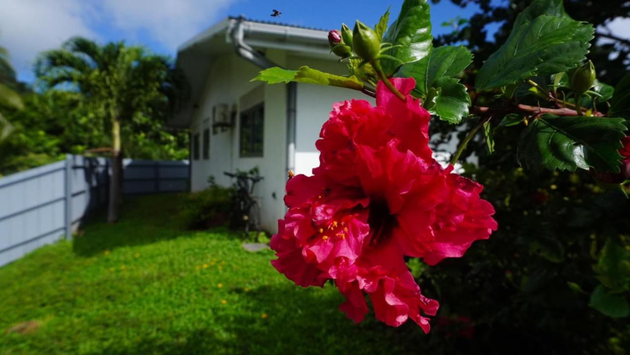 MOOREA - Fare Moohono Tohora - B&B Papetoai