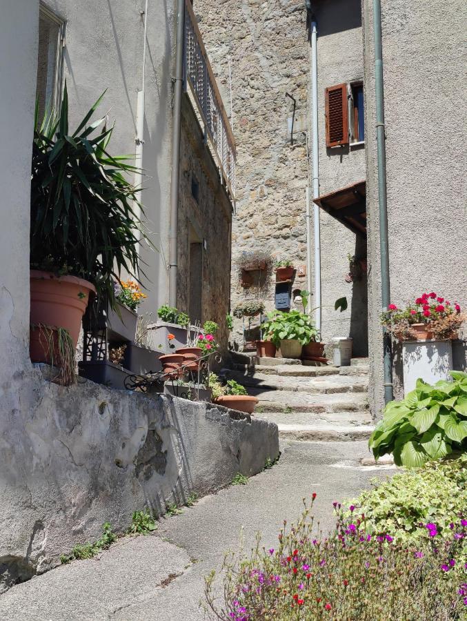 Sassolina house bike - B&B