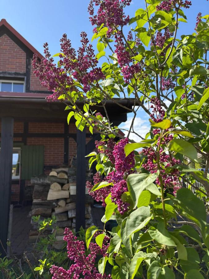 Kaszubska Oaza Garczyn - B&B Garczyn