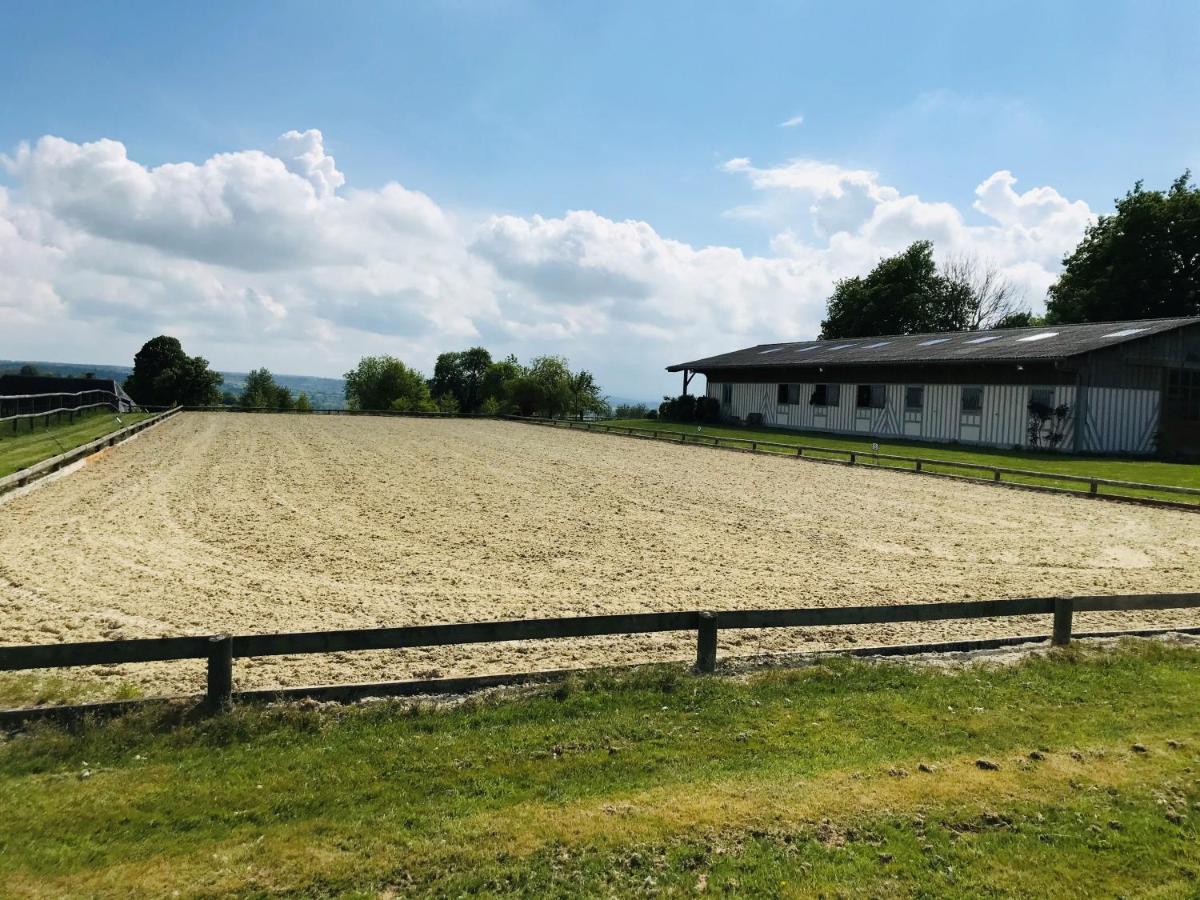 Les crins de Nature 2-5p - Haras de la Varende - B&B Le Mesnil-Simon