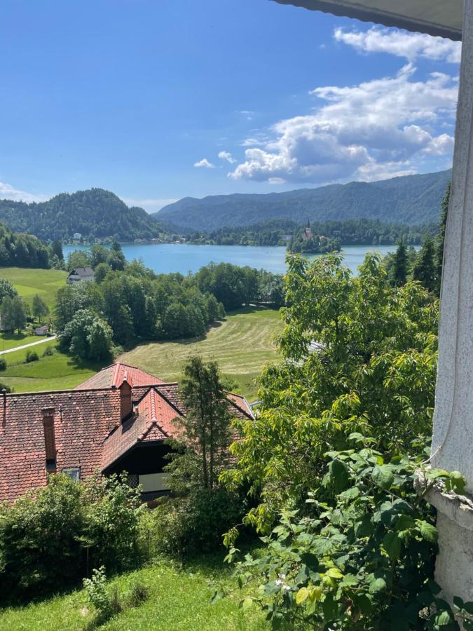 Apartma z razgledom - B&B