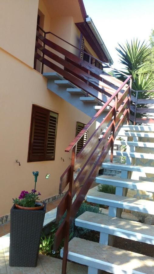 Apartment Vesna - B&B Vela Luka