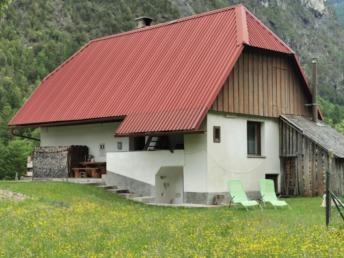 Idina domačija - B&B