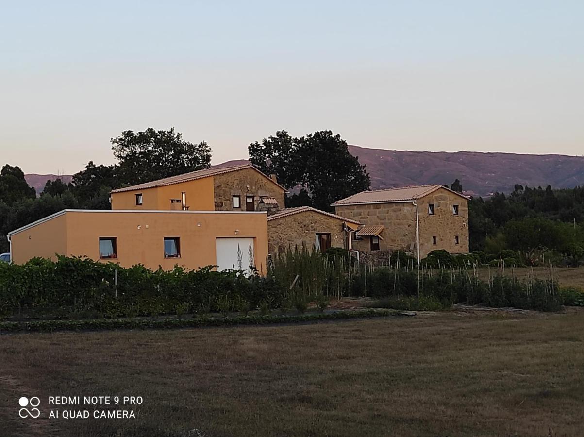 Quinta Damigo - B&B Seia