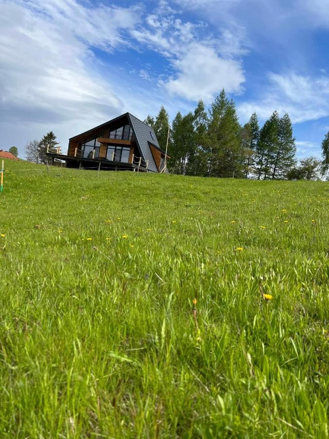 Mon Amor Chalet - B&B Șirnea