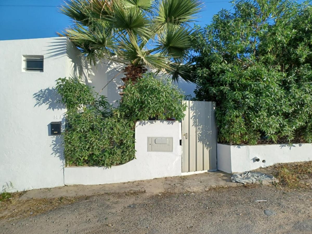 Casa de Férias Palmeira - B&B Faro