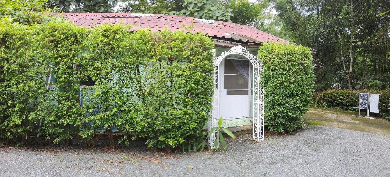 Balmy Hideout Cafe & Homestay - Ferienwohnung
