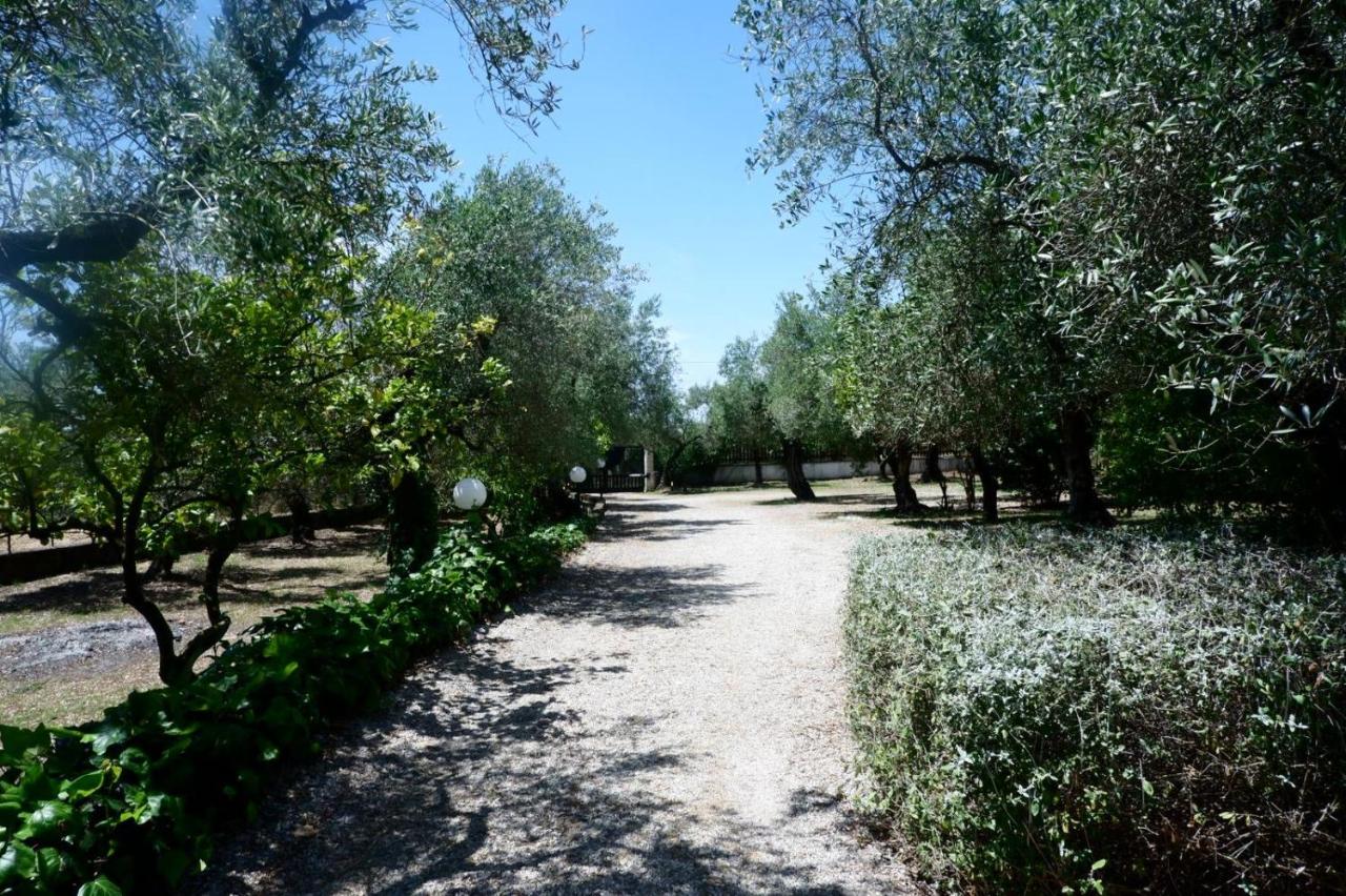Tenuta Maison Angelina - B&B