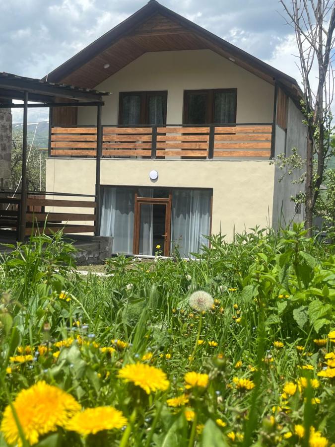 Eva Grand House Dilijan - B&B