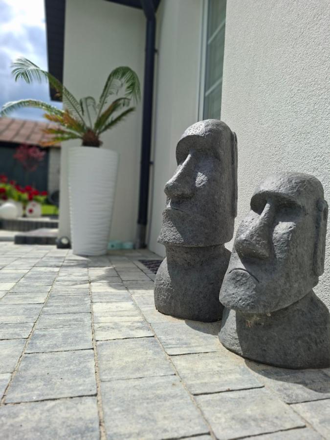 Marcowe Kąty-Przestrzeń na wypoczynek, odpocznij w ciszy i naturze, tylko 7 minut od Sandomierza - B&B Sandomierz