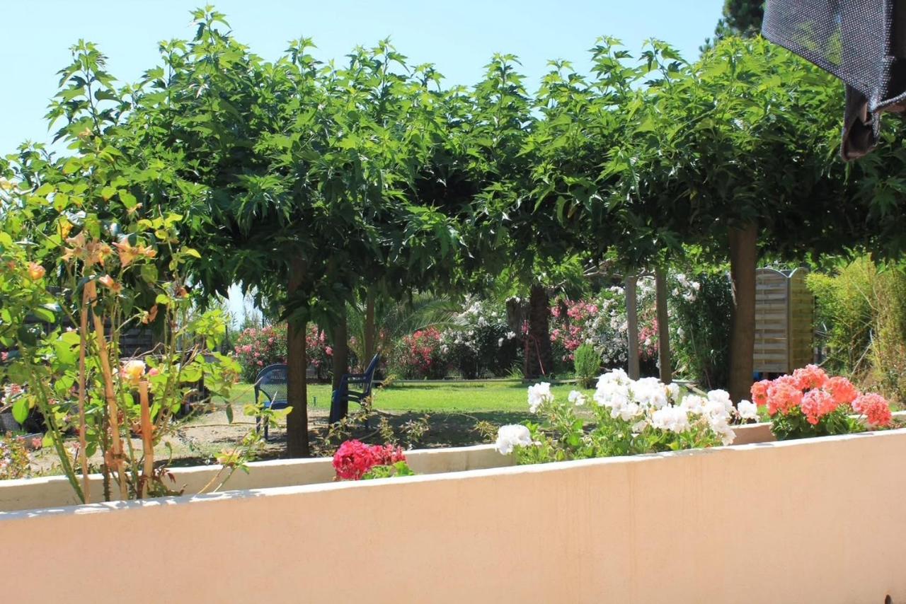 Casa L'Ascosu - B&B Esigna