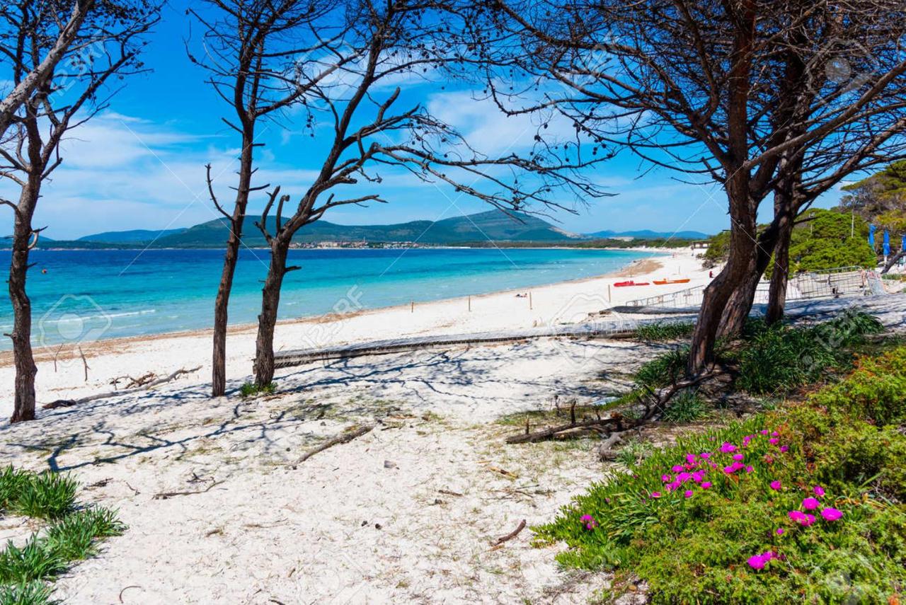 Mistral Home - Chambres d’hôtes Alghero