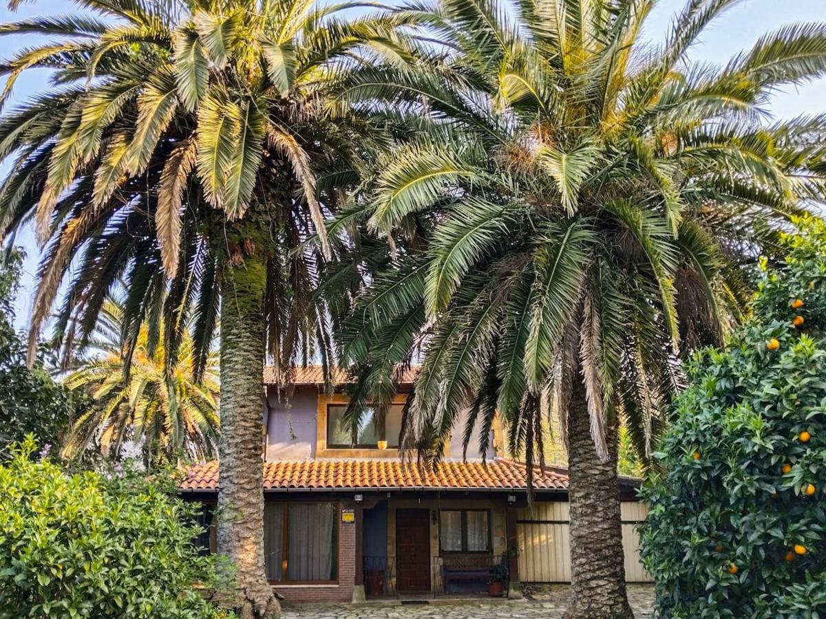 Casa Sebia-Santillana del mar - B&B Oreña