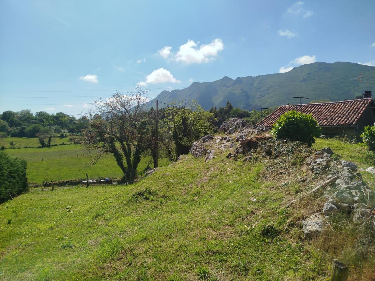 Casa Raquel - B&B Ribadesella