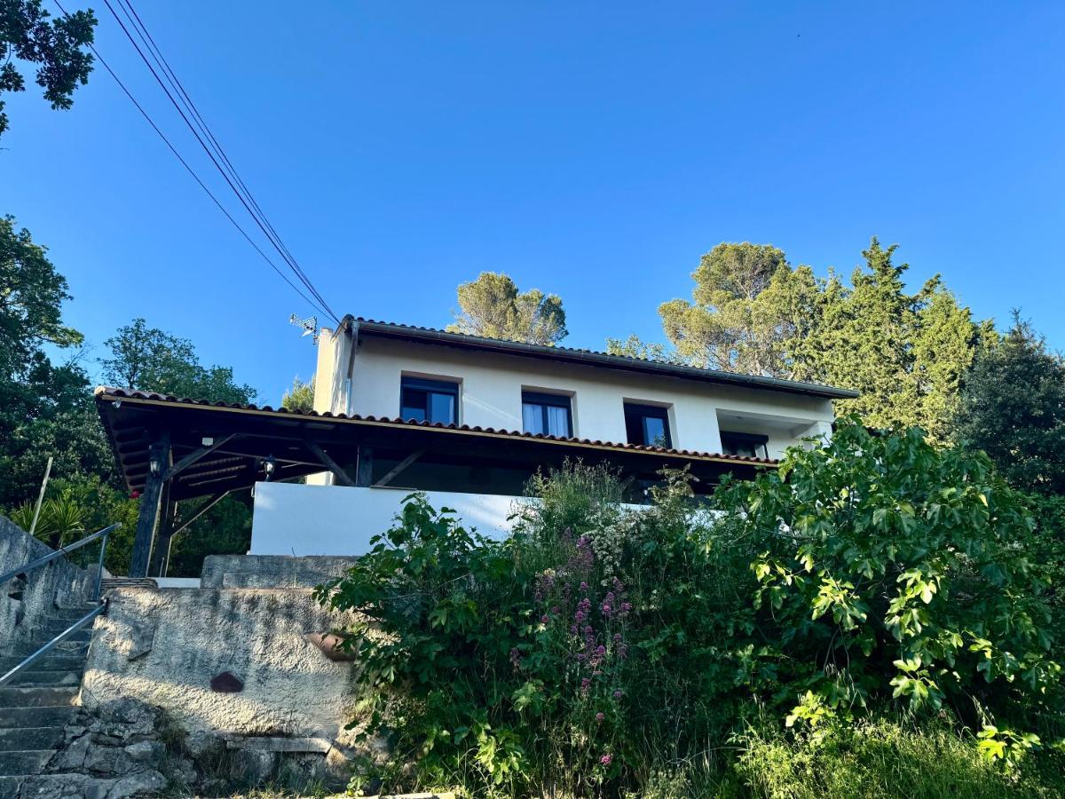 Villa Delycia - B&B